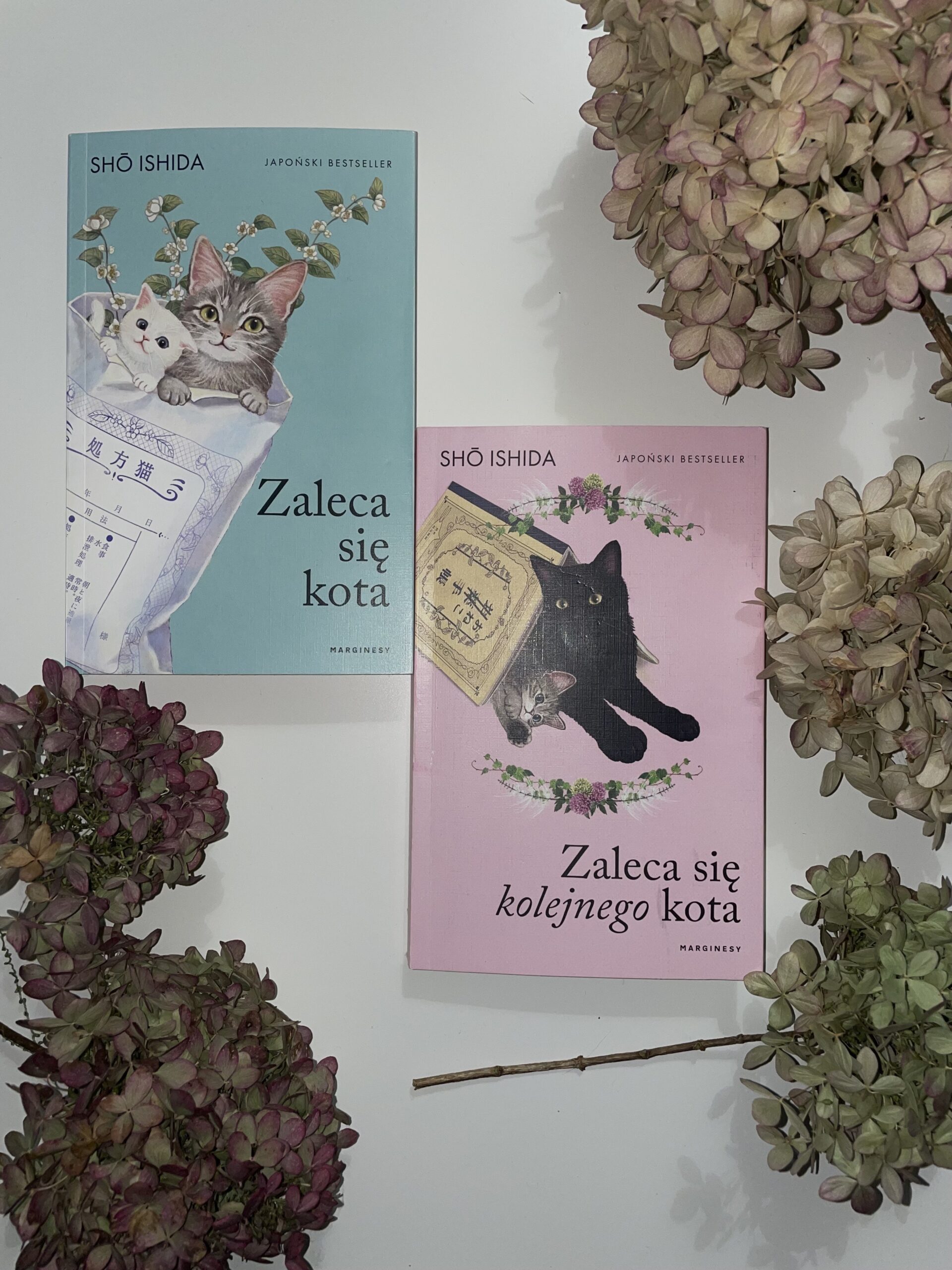 Zaleca się kolejnego kota